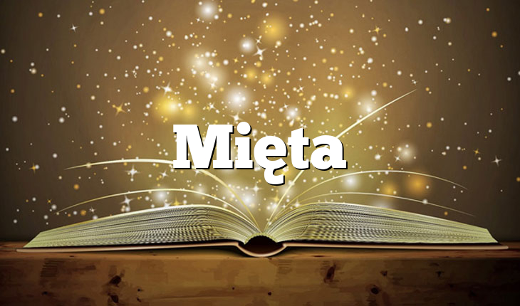 Mięta
