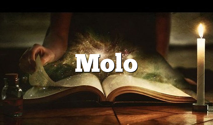 Molo