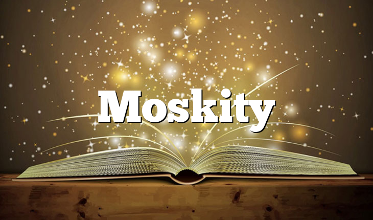 Moskity