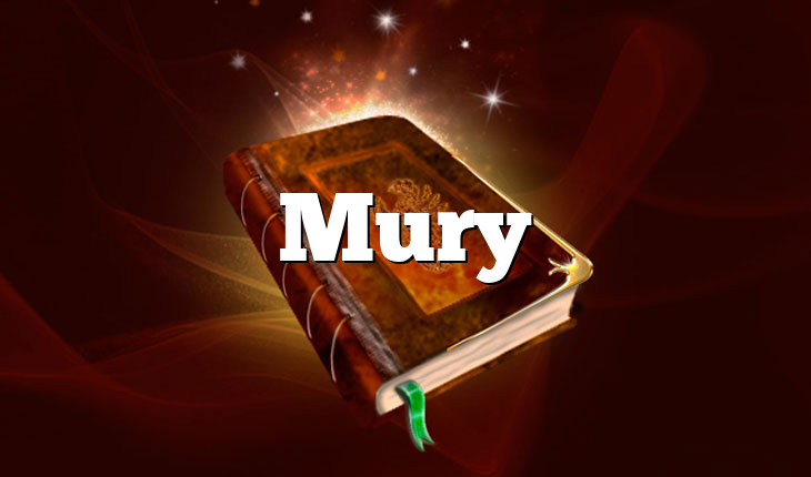 Mury