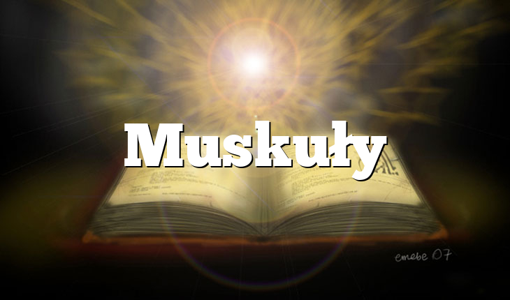Muskuły