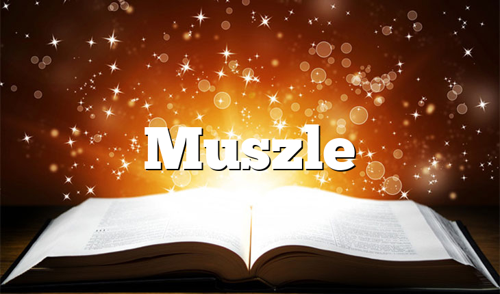 Muszle