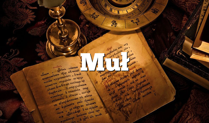 Muł