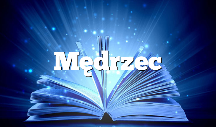 Mędrzec
