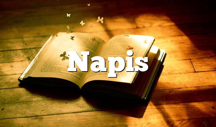 Napis