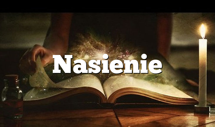 Nasienie