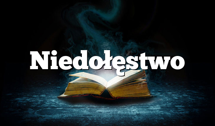 Niedołęstwo