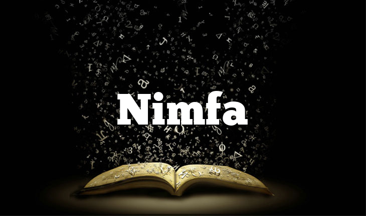 Nimfa