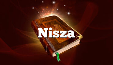Nisza
