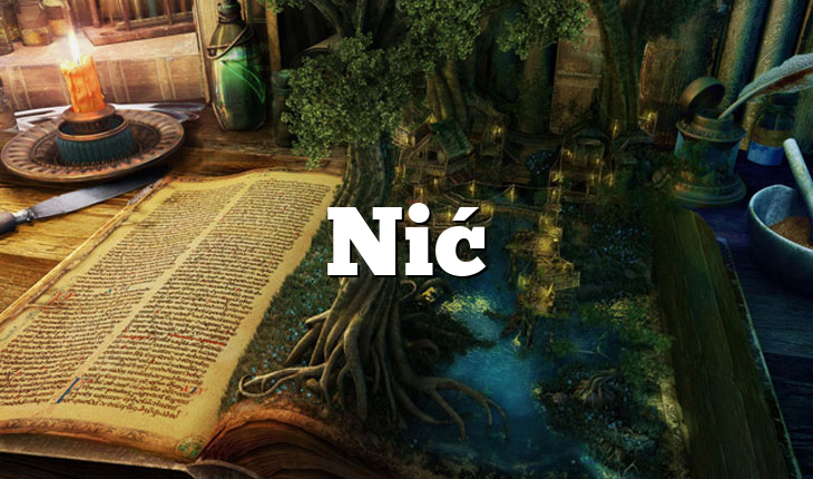 Nić
