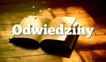 Odwiedziny