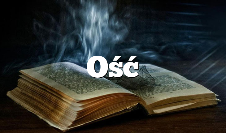 Ość