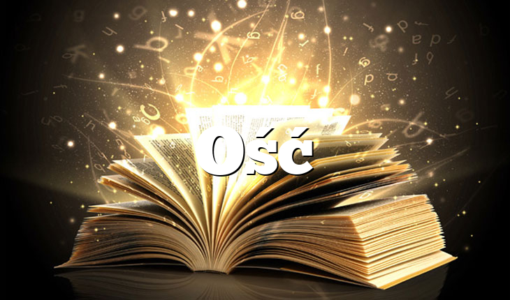 Ość