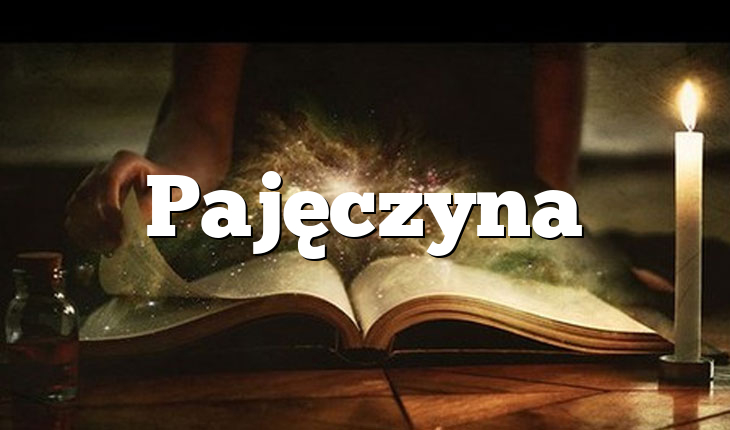 Pajęczyna