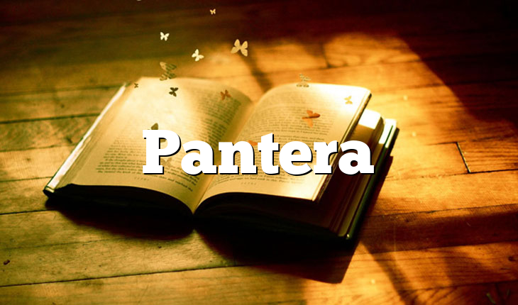 Pantera