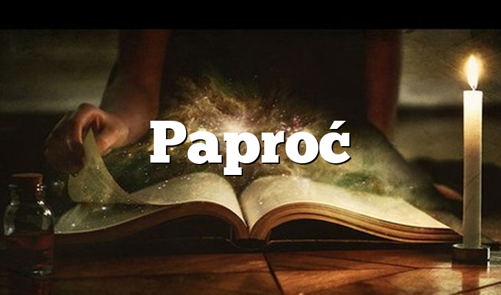 Paproć