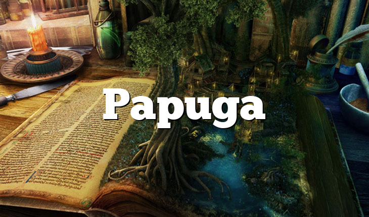 Papuga