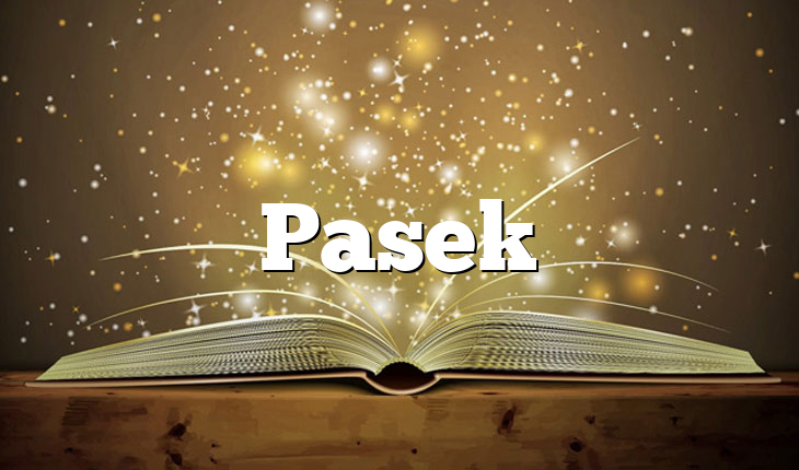 Pasek