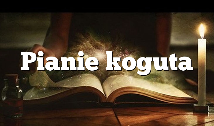 Pianie koguta