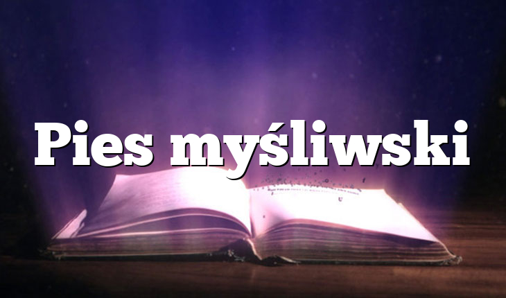 Pies myśliwski