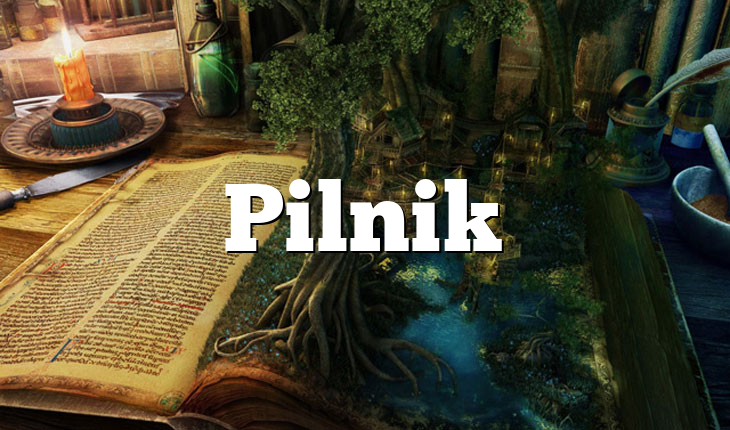 Pilnik