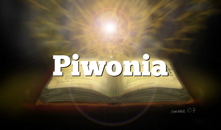 Piwonia