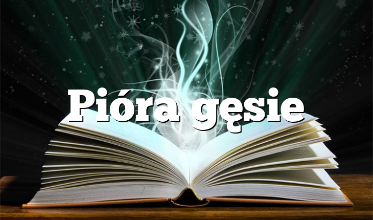 Pióra gęsie