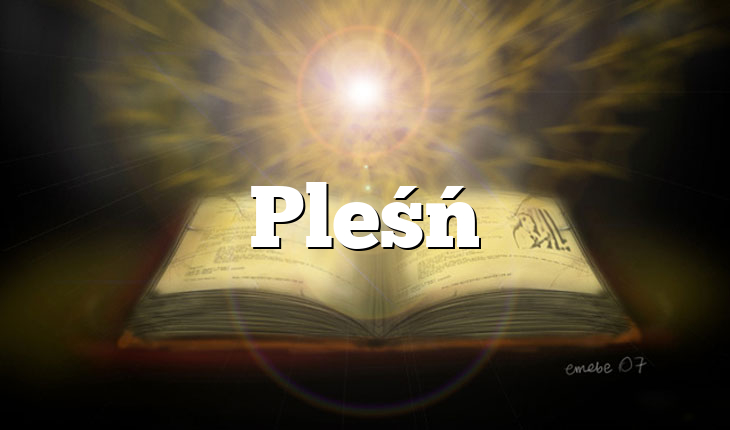 Pleśń