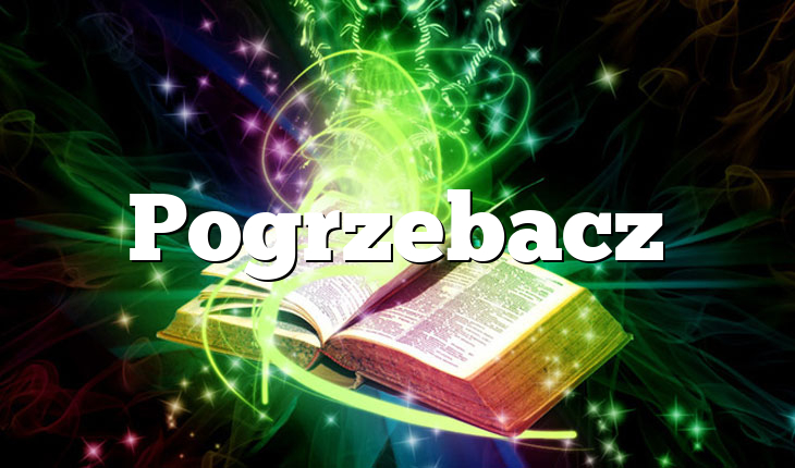 Pogrzebacz