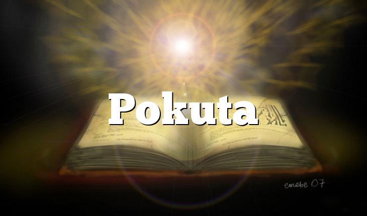 Pokuta