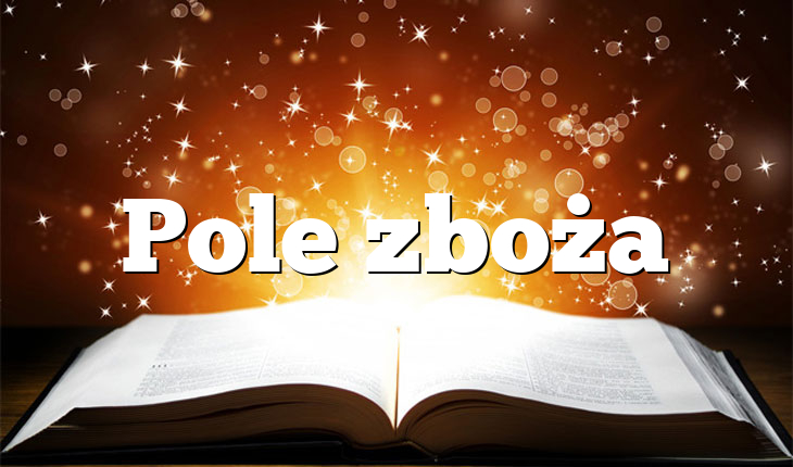 Pole zboża