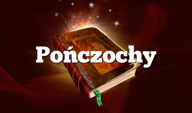 Pończochy