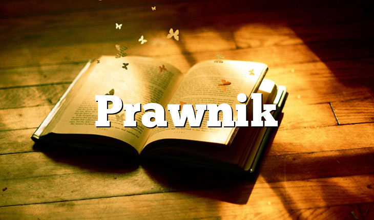Prawnik