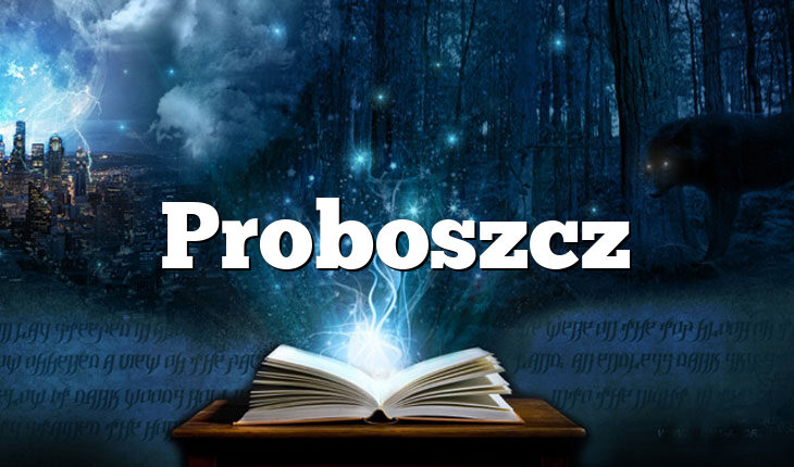 Proboszcz