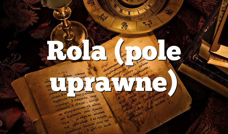 Rola (pole uprawne)