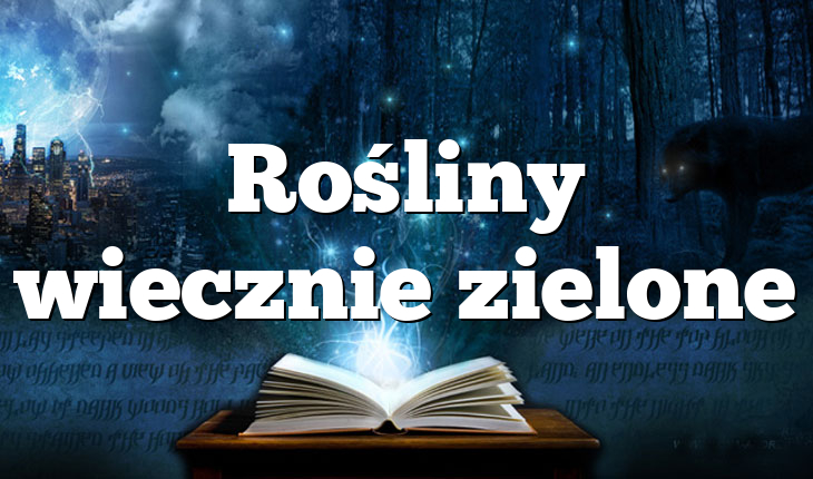 Rośliny wiecznie zielone