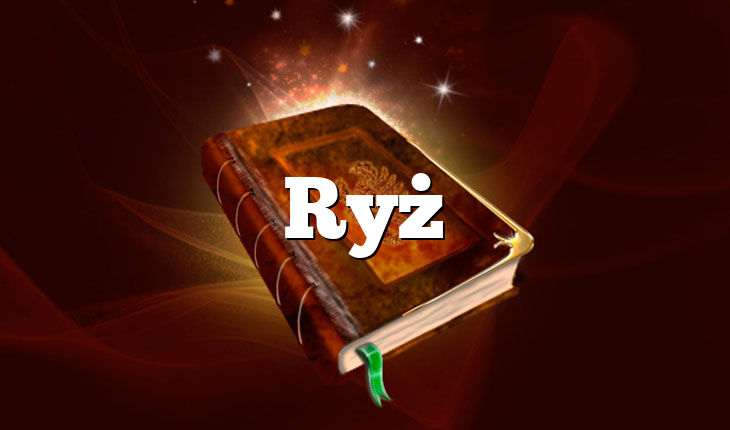 Ryż