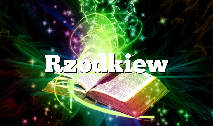 Rzodkiew