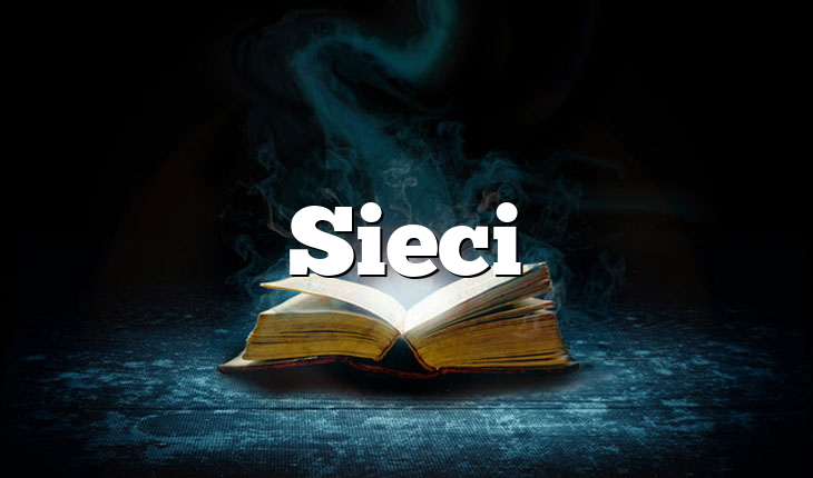 Sieci