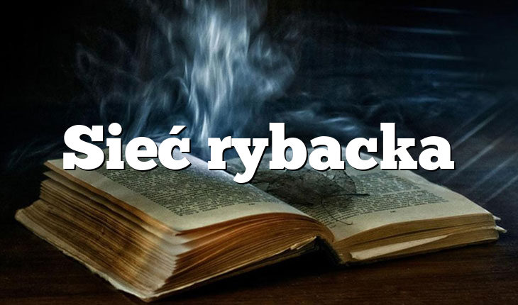Sieć rybacka