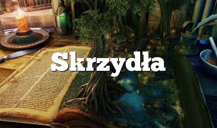 Skrzydła