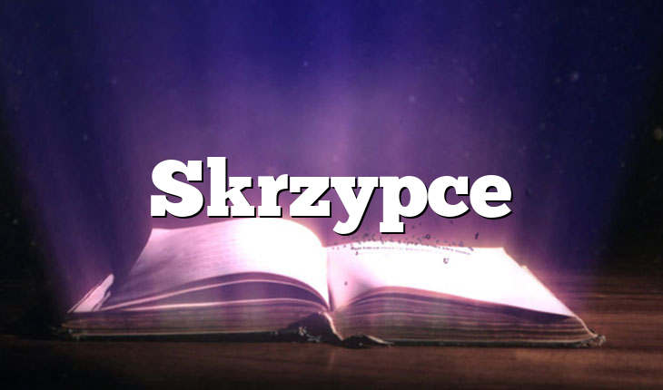 Skrzypce