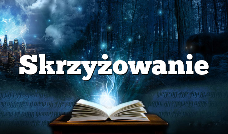 Skrzyżowanie