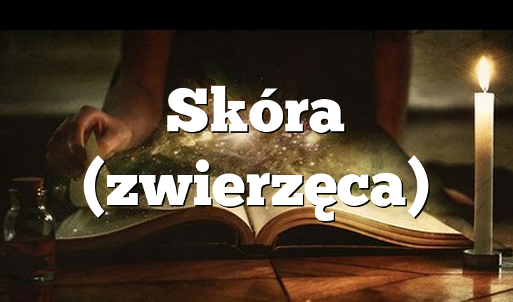 Skóra (zwierzęca)