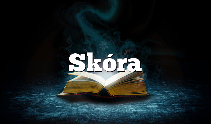 Skóra