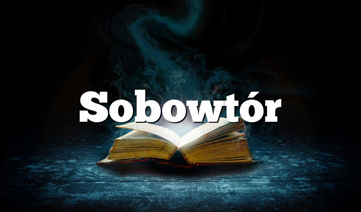 Sobowtór
