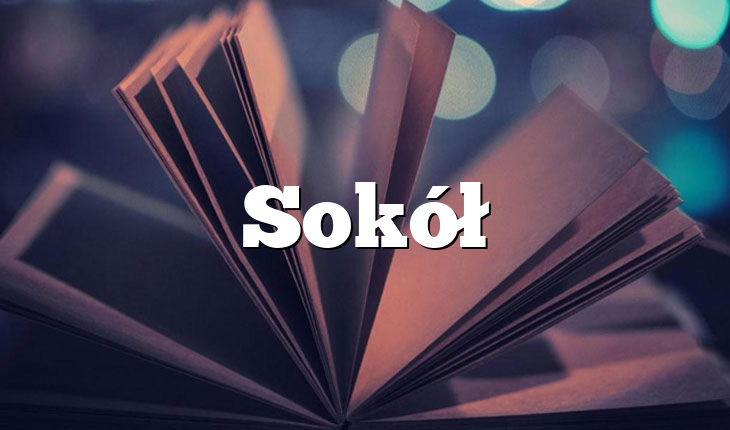 Sokół