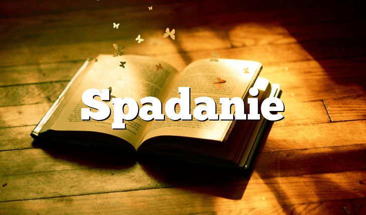Spadanie
