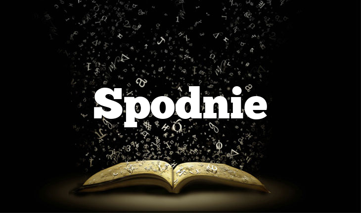 Spodnie