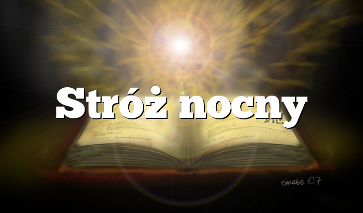 Stróż nocny